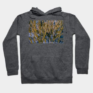 Yellow tree Hoodie